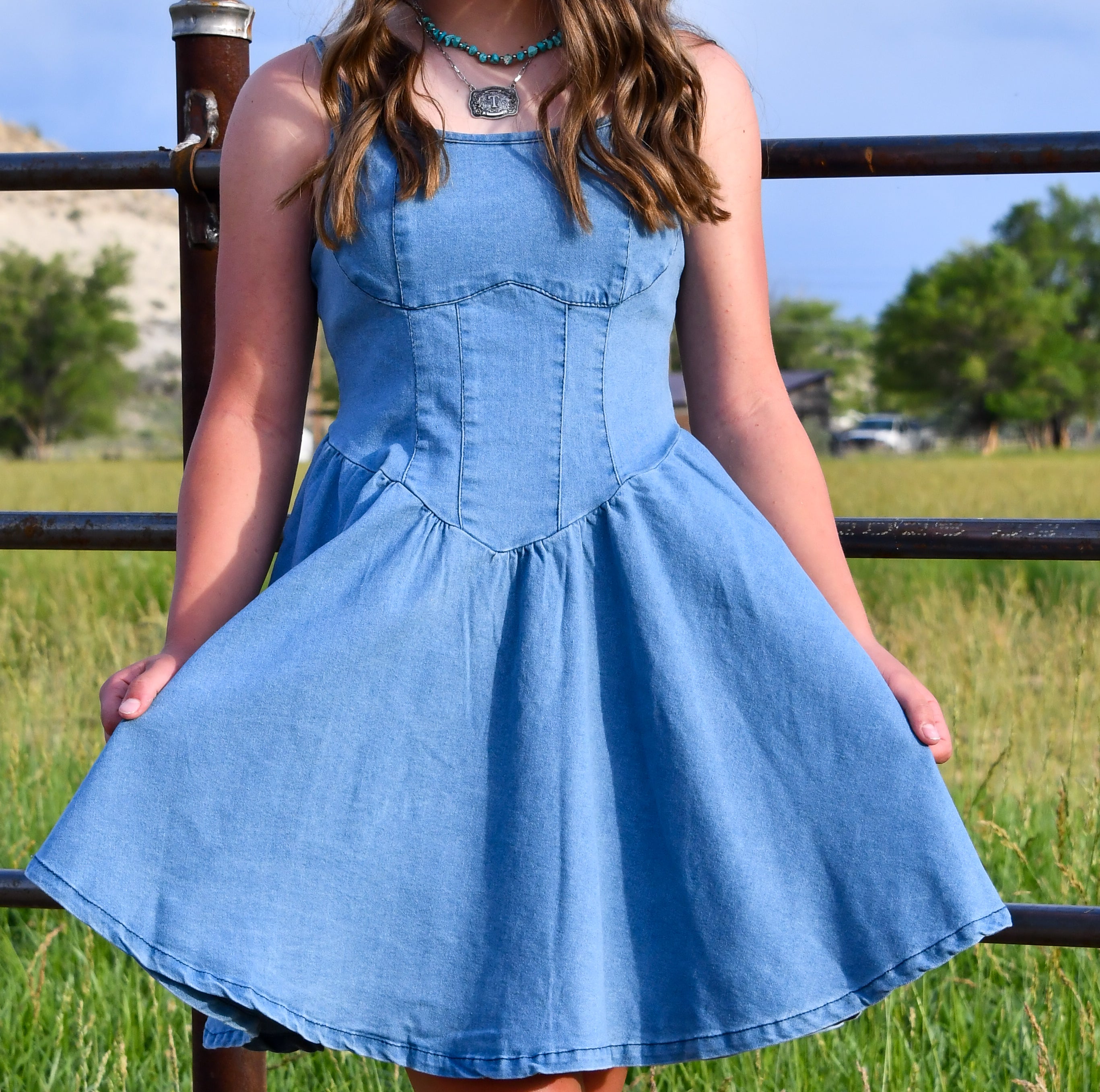 A Line Denim Mini Dress