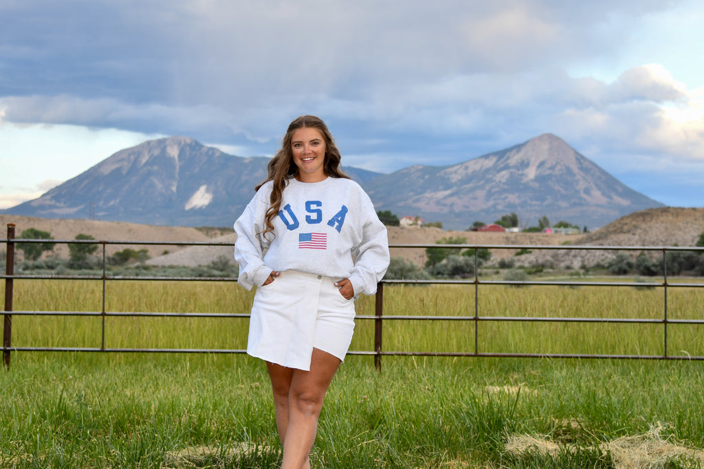 Ash USA Sweatshirt